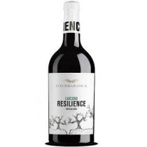 colomba bianca resilience lucido bianco sicilia doc vino 2020
